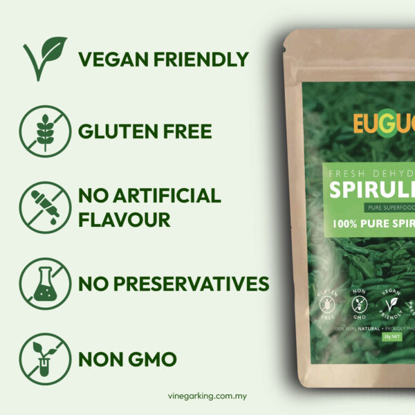 Pure Natural Fresh Spirulina / 纯天然螺旋藻 - Image 5