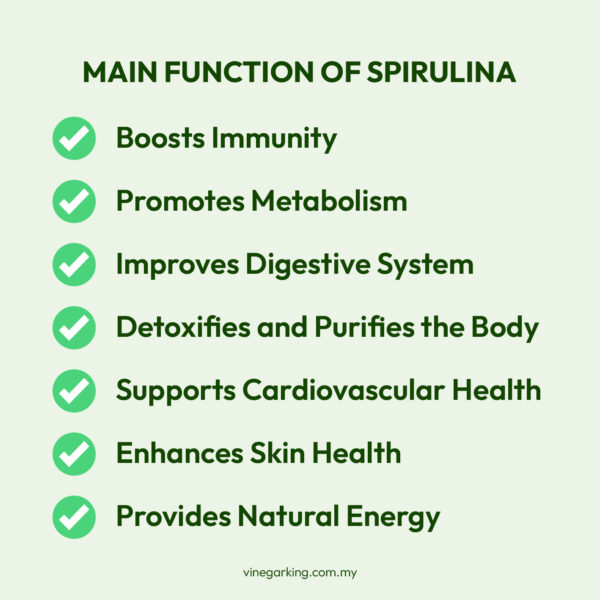 Pure Natural Fresh Spirulina / 纯天然螺旋藻 - Image 4